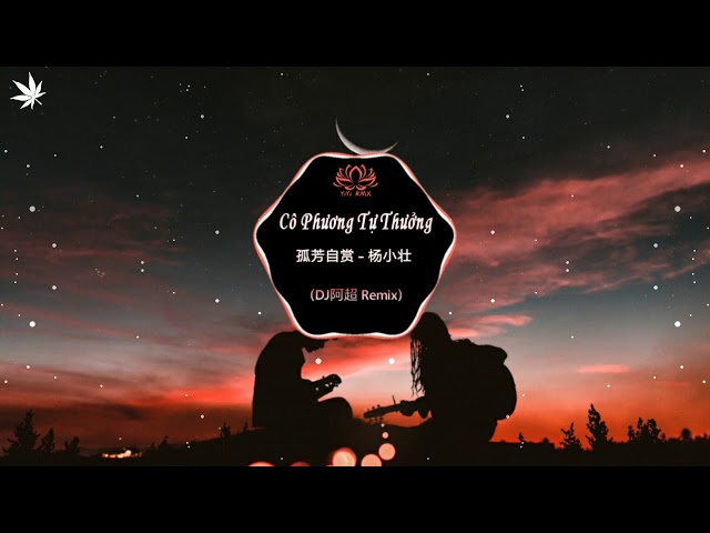 Cô Phương Tự Thưởng 孤芳自赏 - 杨小壮 (DJ阿超 Remix) TikTok Song class=