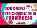 Bondades Nutricionales De La Frambuesa