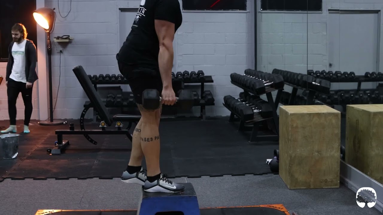 DB Box Step Up Glute Bias YouTube