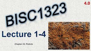 BISC1323 - Recorded Lecture 1-4 (4.0)