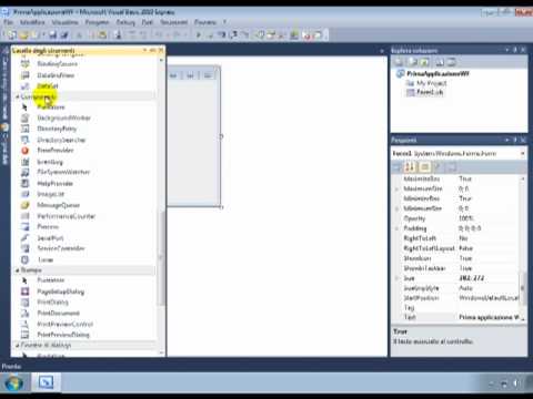 Tutorial Visual Basic 2010: terza lezione