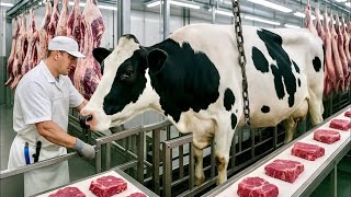Cómo se produce la CARNE De RES 🐄 | Megafábrica de Carne 🏭