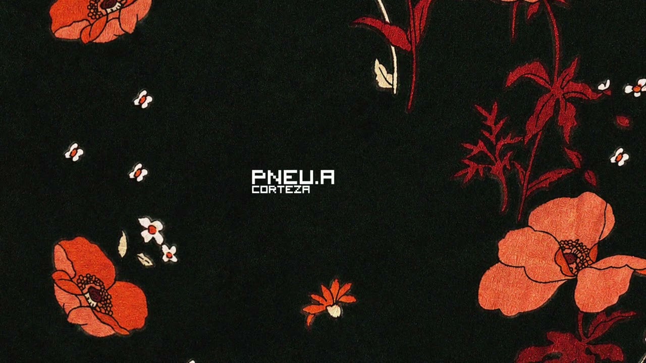 Pneu.a - Detalle [CPD078]