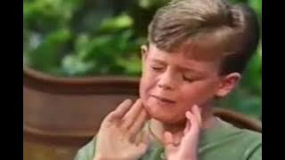 Barney & Friends: Season 4: All Mixed Up
