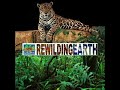 Episode 1: Dave Foreman On The History and Definition of Rewilding