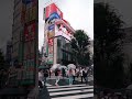 GIANT 3D billboard of a realistic looking cat is drawing a crowd in one of Tokyo Shinjuku #SHORTS