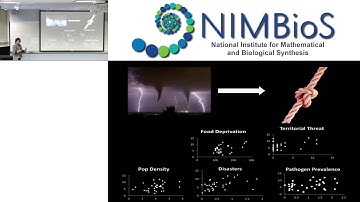Interdisciplinary perspectives on the strengths of social norms