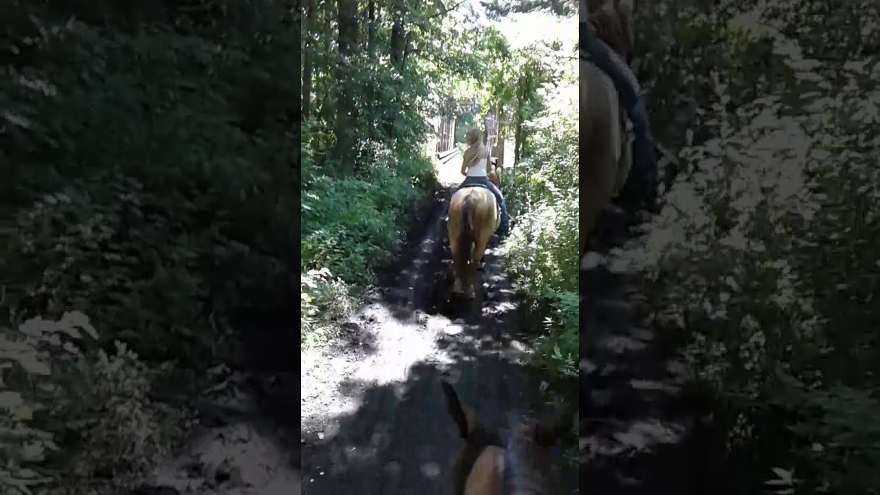 Top View Riding Ranch Chloe/Guide & SLICK YouTube