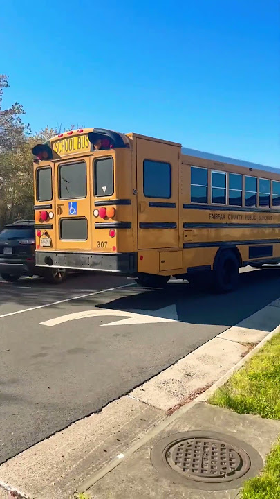 Loud Squeaky Noise for 307 School Bus