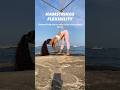 #hamstrings #hamstringflexibility #yoga #yogapractice #flexibility #mobility #fitness #stretching