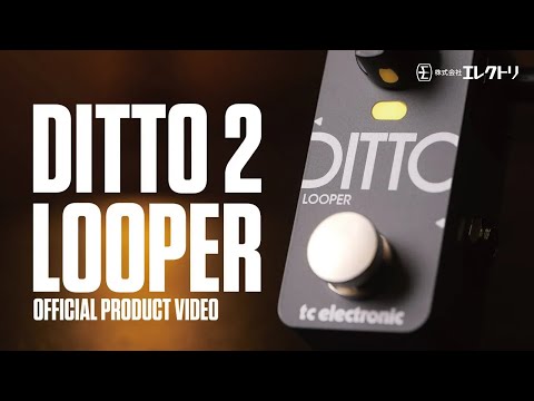 tc electronic DITTO2 looper ルーパー tc electronic DITTO X2 LOOPER｜ミュージックランドKEY