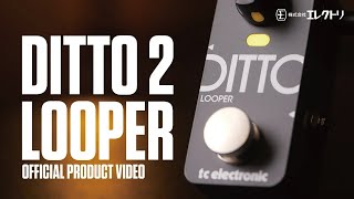 日本語字幕】TC Electronic DITTO 2 LOOPER ~ 次世代ルーパーペダル