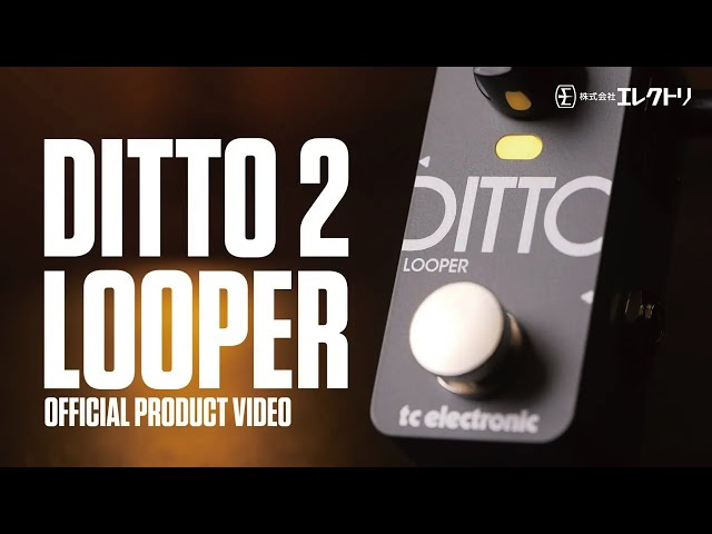 日本語字幕】TC Electronic DITTO 2 LOOPER ~ 次世代ルーパーペダル