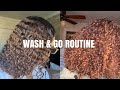 WASH &amp; GO ROUTINE FT. CANTU TXTR DEFINING GEL | HIT OR MISS?!