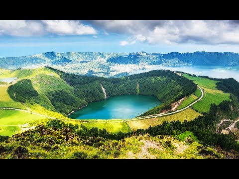 Wilde Ostsee - Von Estland bis Finnland | Expeditionen ins Tierreich | NDR