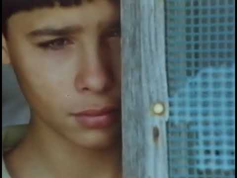 UMA PEDRA NO BOLSO de Joaquim Pinto (1988) – excerto