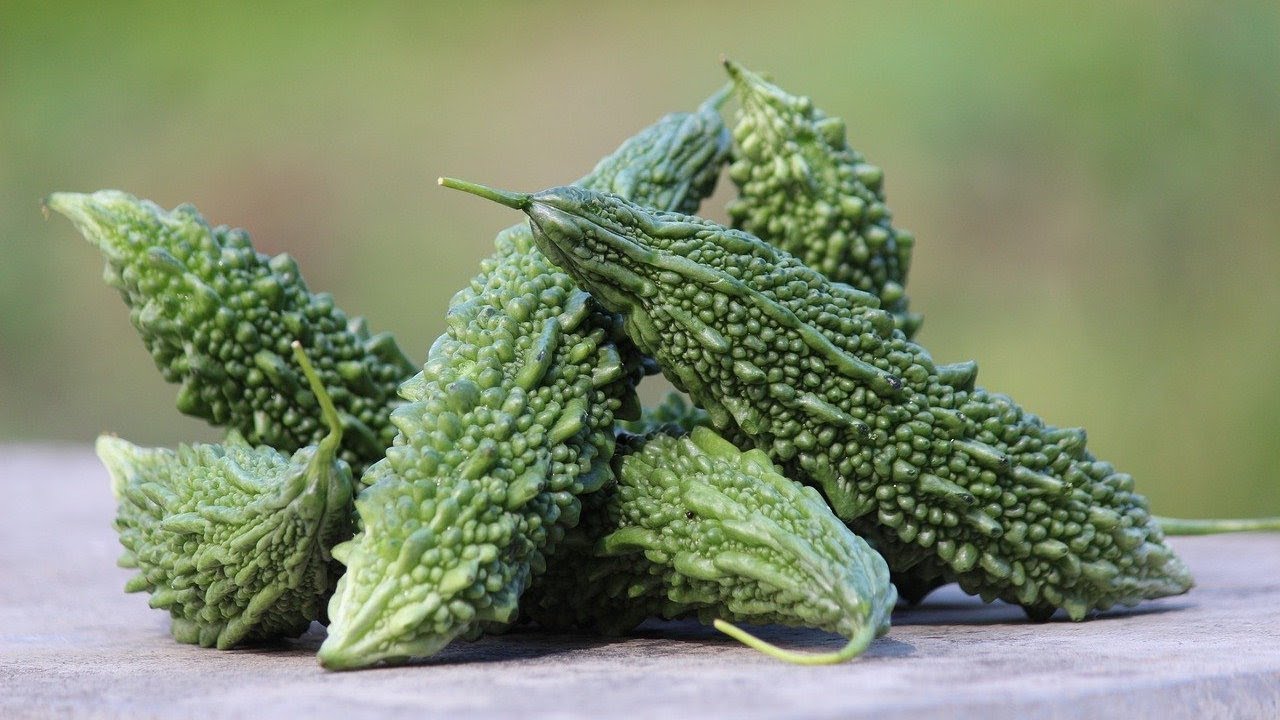 Why Bitter Melon Can Benefit People with Diabetes YouTube