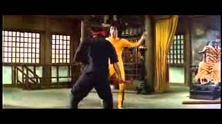 Nicone \u0026 Sascha Braemer \u0026 Narra - Caje (Bruce Lee Video)