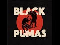 Capture de la vidéo Black Pumas - Livestream Benefit (Full Concert)