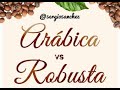 Diferencias entre el café arabica y el café robusta