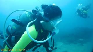 2016 1029船潛第6隻 墾丁眺石3