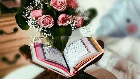 سورة الإخلاص | Surah Al-Ikhlas 🤍 توحيد وطمأنينة(مع تجويد)
