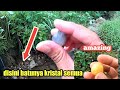 Banyak batu bening ||kramat ||gems hunters||ying ||mbolang batu akik