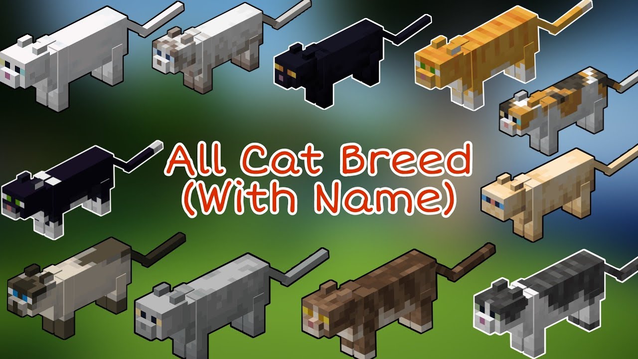 How Many Cat Variants Are There In Minecraft