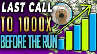 Last Chance To Make 100X + With These Memecoins - Dont Sleep On It
