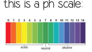 Acids and Alkalis