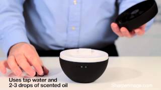 201579 Aromatherapy Diffuser