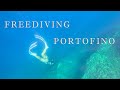 Freediving in Portofino - Italy