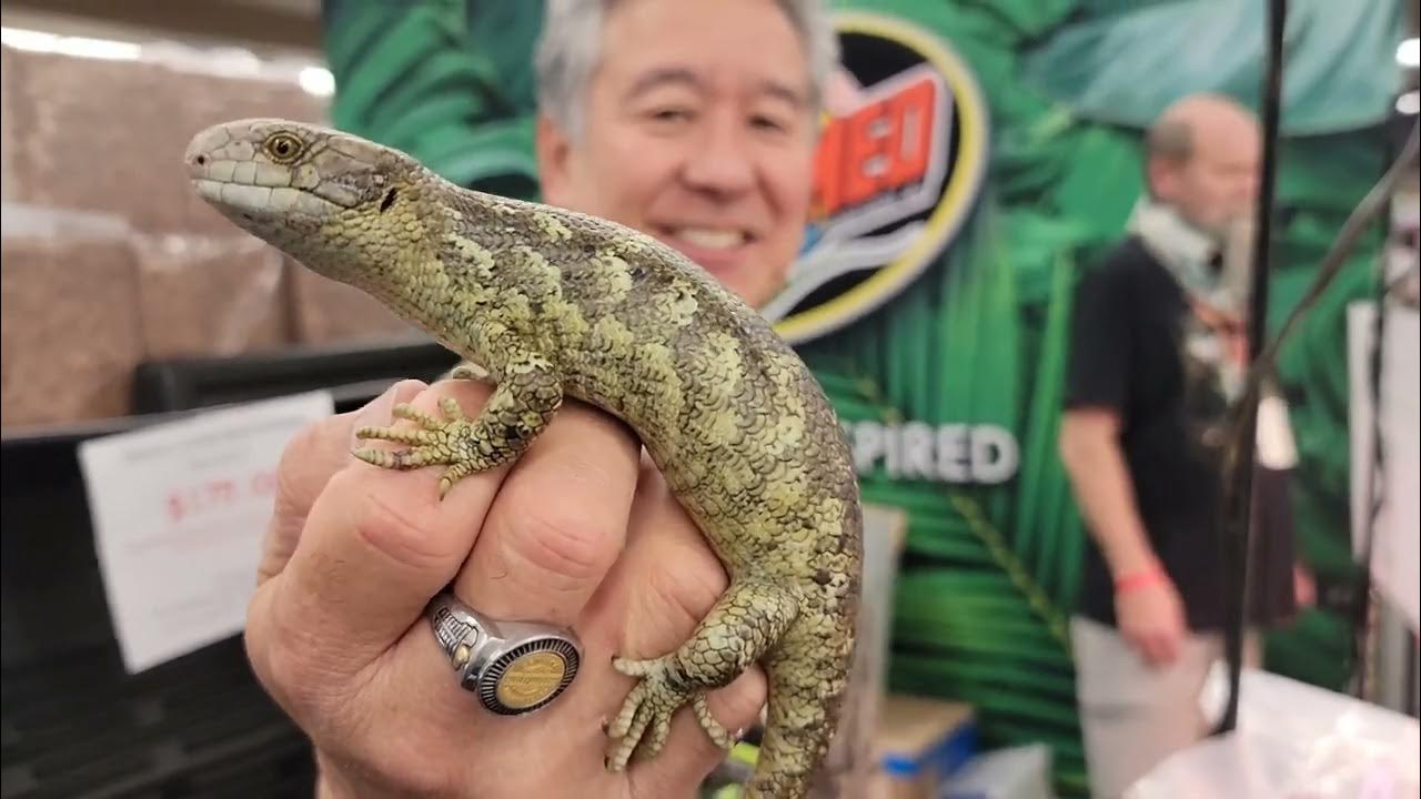 Phoenix Reptile Expo. April 2023. YouTube