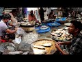 Live Fish Market | Rural Fish Market in Bangladesh | চাচকৈড় হাটের মাছ বাজার | গ্রামীন হাট বাজার