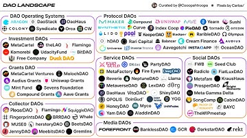 The best way to learn about web3 is joining a [DAO]