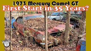 First Start in 35 Years? Abandoned 1973 Mercury Comet GT  Will a STUCK Engine be a CHALLENGE?