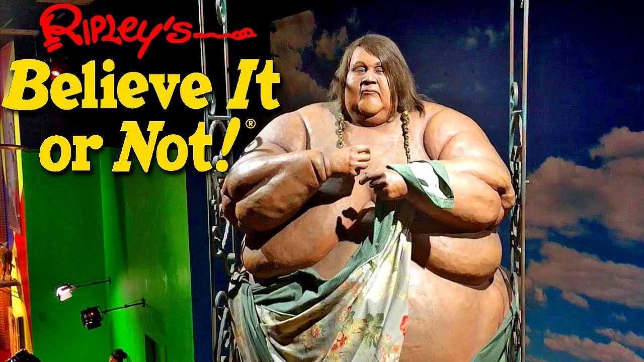 Ripley’s Believe it or Not! Times Square, New York YouTube