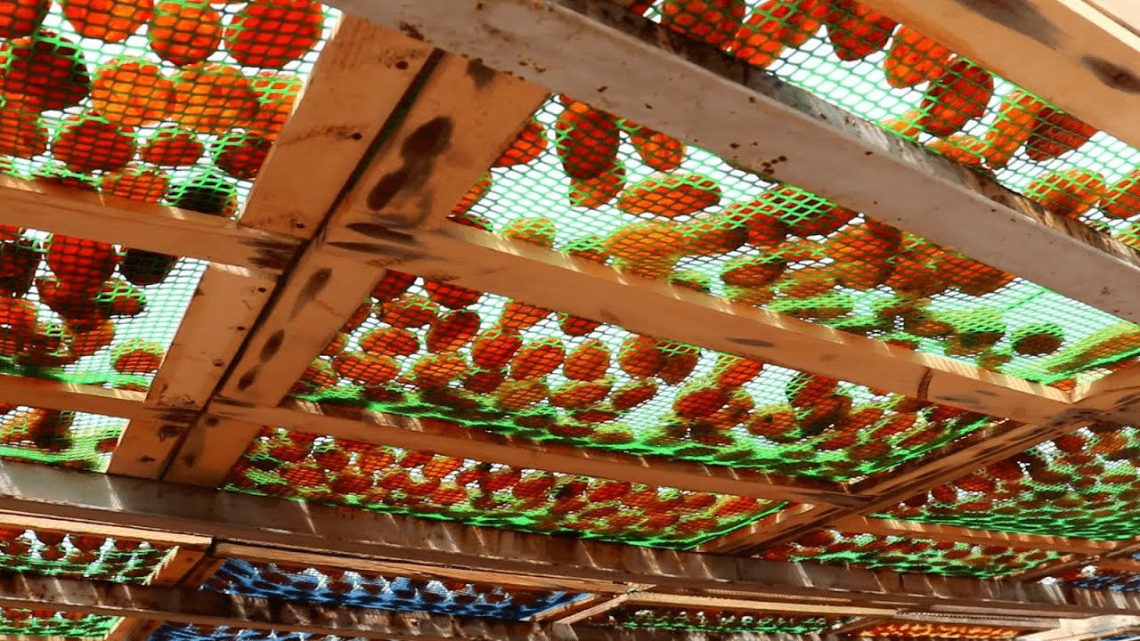 Գլխավոր համեմունքը` արև. չրի պատրաստումը