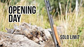 Grouse Hunting: OPENING DAY Utah Limit!