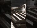 Automatic tilting smelting furnace with automatic casting machine