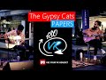 The Gypsy Cats playing Papers at Brisbana City in 180 3D Virtual Reality Footage