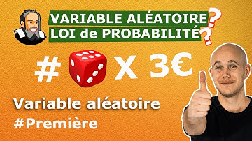 Donner VARIABLE ALÉATOIRE et LOI de PROBABILITÉ - Exercice Corrigé - Première
