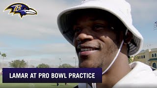 Lamar Jackson Is Star Gazing at the Pro Bowl | Baltimore Ravens