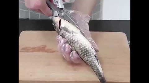 Kéo đa năng SK5 – Made in Japan siêu cứng, cắt gà, giấy vải, chuyên dụng