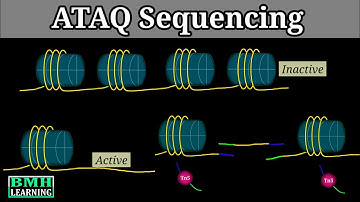 ATAC Sequencing | How ATAC-Seq Works | Assay For Transposase-Accessible Chromatin |