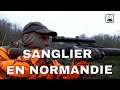 Chasse aux sangliers en Normandie (4K)