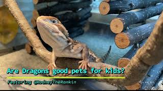 Kids & Pet Dragons? Are Bearded Dragons the Best Pet Around Kids? YES! To Care for Alone? No.