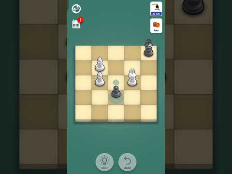 Level 616 - Pocket Chess