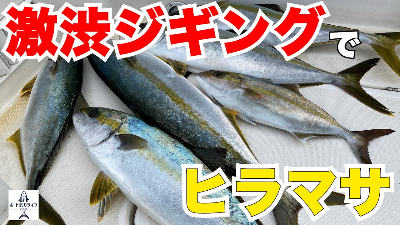 船釣り】激渋ジギングの中でヒラマサを釣り上げる【プレジャー