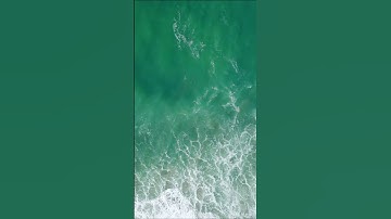 سوره الفاتحه | سعود الشريم